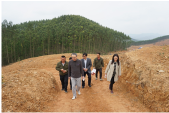 调研组在平果县贫困村集体经济油茶“双高”示范基地调研