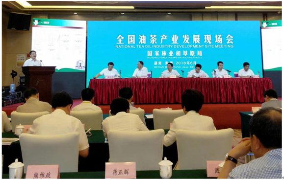 市林业局党组书记、局长蒋正辉作典型发言