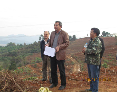 马锦林副院长(左二)指导项目造林