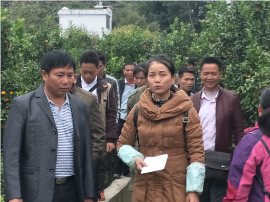 图为古障村村支书王兰英介绍沙糖桔种植及管理技术