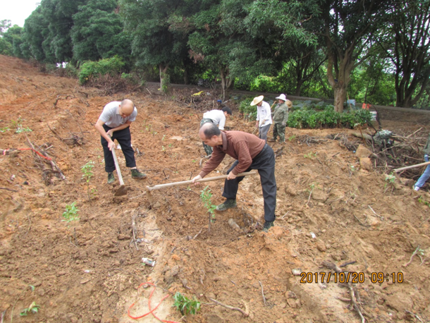 林科所植树图1