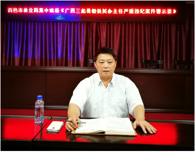 蒋正辉局长作总结讲话