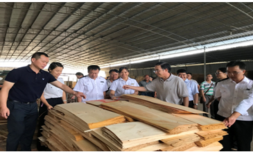 在木材集中加工区开展联防联治检疫执法活动