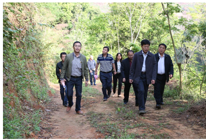 图为罗试坚副市长(右二)在市林业局局长蒋正辉(右一)、百林林场场长骆荣泰(左一)的陪同下到百林林场七塘管护站珍贵乡土树种示范基地调研