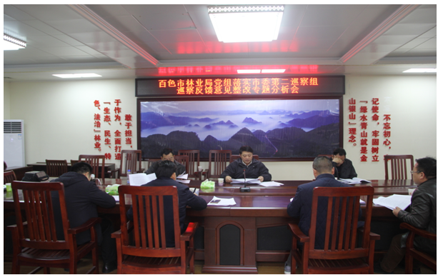 图为分析会现场