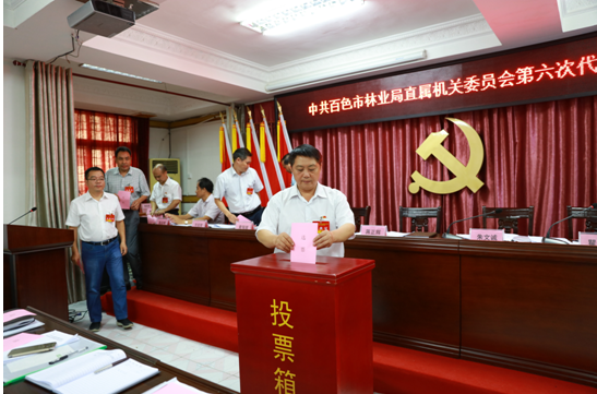 图为与会代表在投票选举