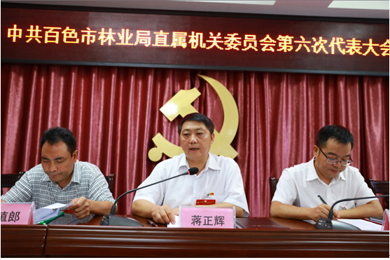 图为蒋正辉同志代表新一届机关党委委员作表态讲话